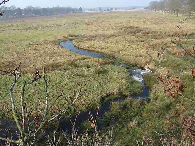 Aakronkel vanuit de boom