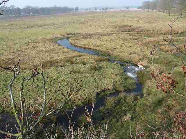 Aakronkel vanuit de boom